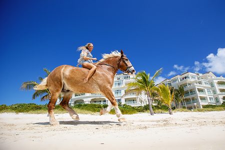 Provo Ponies, Turks and Caicos Vacation Photographers