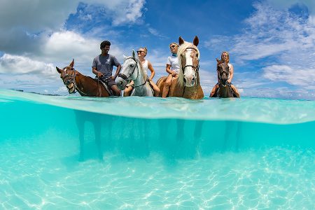 Provo Ponies, Turks and Caicos Vacation Photographers